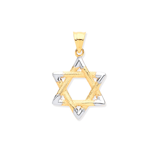 9ct Yellow & White Gold Star of David Pendant